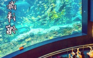 北京海洋馆需要预约吗_门票预约流程