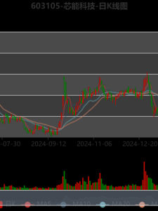 芯能科技股票值得长期持有吗_芯能科技股票未来走势如何