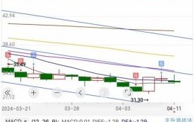太极集团股票怎么样_太极集团未来走势预测