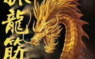 北京抓龙筋哪家好_抓龙筋多少钱一次