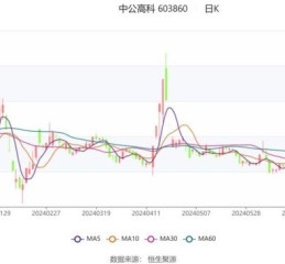 中公高科股票值得长期持有吗_中公高科股票未来走势如何