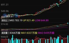 深南电路股票值得长期持有吗_深南电路股价未来走势如何