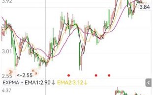 名家汇股票怎么样_名家汇股票值得长期持有吗