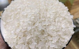 东北大米怎么样_东北大米好吃吗