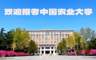 北京T大怎么考_北京T大录取分数线