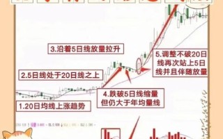 股票n开头是什么意思_新股首日标识规则