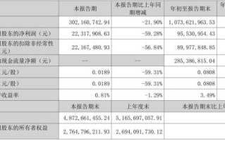 华仁药业股票值得买吗_华仁药业未来前景如何