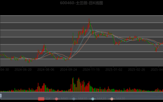 士兰微股票值得长期持有吗_士兰微股票未来走势分析
