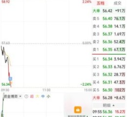 水井坊股票怎么样_水井坊股票值得长期持有吗