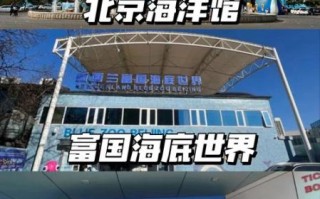 北京三个海洋馆哪个好_北京海洋馆推荐