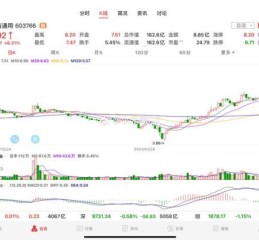 600285股票行情_未来走势如何