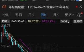 华宝国际股票怎么样_华宝国际股票值得买吗