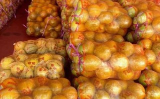 北京水果批发市场哪里便宜_当季水果有哪些