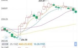 比亚迪股票还能买吗_2024年走势预测