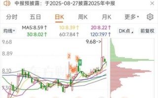 华宇软件股票怎么样_华宇软件股票值得买吗