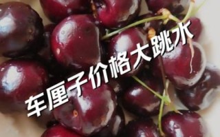 樱桃多少钱一斤_如何挑选新鲜樱桃