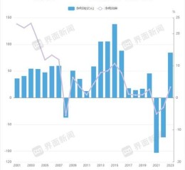 华能国际股票值得长期持有吗_华能国际股票分红率是多少