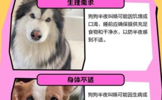 唤唤怎么样_唤唤靠谱吗