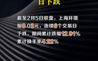 上海环境股票怎么样_值得长期持有吗