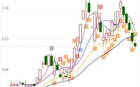 华联股票值得投资吗_华联股票最新行情