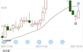 300469股票行情_值得买入吗