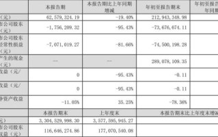 巴安水务股票怎么样_巴安水务股票值得投资吗