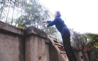 怎么样翻墙_翻墙违法吗