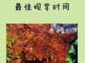 北京香山公园门票价格_香山红叶什么时候最红