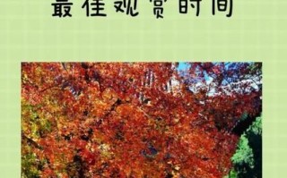 北京香山公园门票价格_香山红叶什么时候最红
