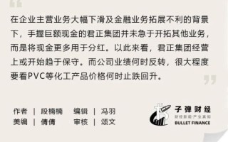 君正怎么样_君正集团值得投资吗