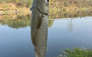 北京垂钓好去处_北京野钓地点推荐