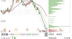 嘉麟杰股票怎么样_嘉麟杰股票值得买吗