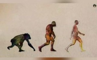 未来人类会进化成什么样_人类未来进化方向