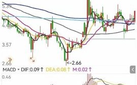 信息发展股票怎么样_未来走势分析