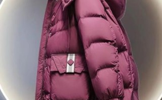 羽绒服怎么选_羽绒服哪个牌子性价比高