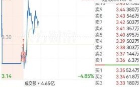 梅雁吉祥股票股吧_梅雁吉祥还能买吗