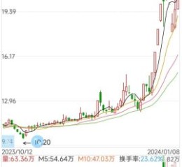双象股份股票怎么样_双象股份值得投资吗