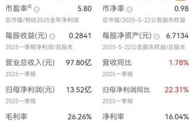 深圳能源股票怎么样_深圳能源股票值得长期投资吗 深圳能源股票怎么样_深圳能源股票值得长期投资吗