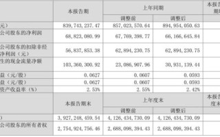 英洛华股票怎么样_英洛华值得长期持有吗