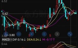 司尔特股票怎么样_司尔特股票未来走势