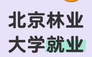 北京林业大学在哪个区_北京林业大学怎么去