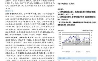 宏川智慧股票值得长期持有吗_宏川智慧股票未来走势如何