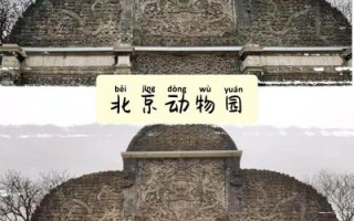 北京动物园几点开门_北京动物园几点关门