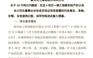 鲁西化工股票值得长期持有吗_鲁西化工股票目标价是多少