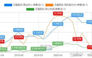 万盛股份股票怎么样_万盛股份未来走势预测