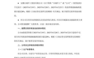 股票异常波动公告怎么看_停牌核查多久