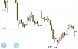 岳阳林纸股票股吧_还能买吗