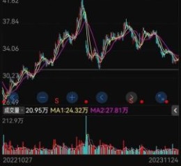 格力电器股票值得长期持有吗_格力电器股票分红怎么样