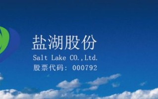 000792盐湖股份股价走势_000792盐湖股份值得买吗