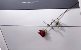 普田油烟机怎么样_普田油烟机质量好吗